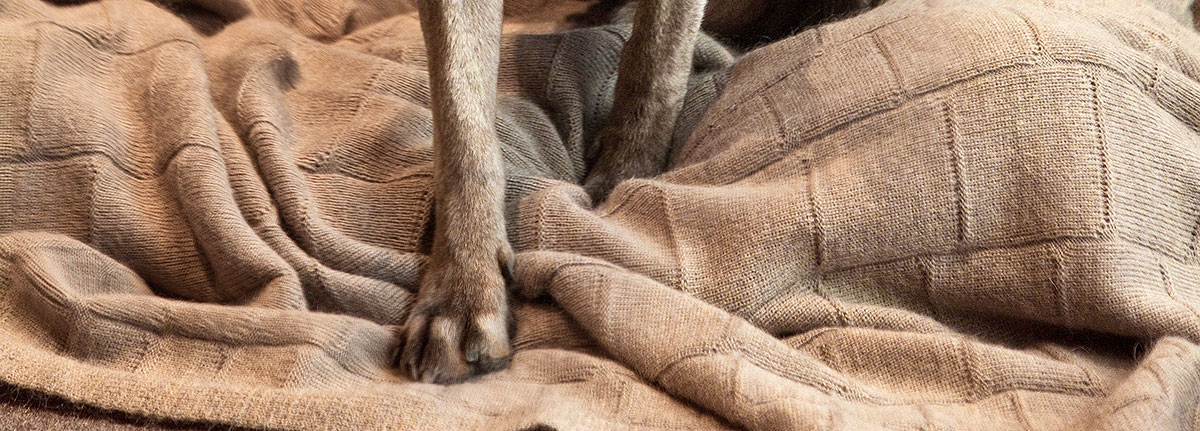 Knitted Mohair Croco Cooper