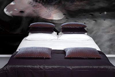 The Koi Carp Bedroom