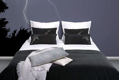 The Thunder Bedroom
