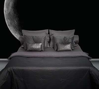 Into The Night Bedroom Moon