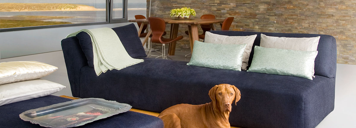 Cushion Palace on sofa