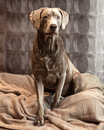 Cooper with plaid knitted mohair Croco