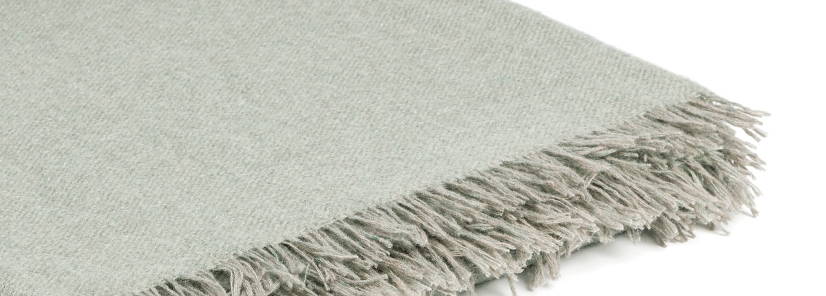 plaid Archive Eucalyptus