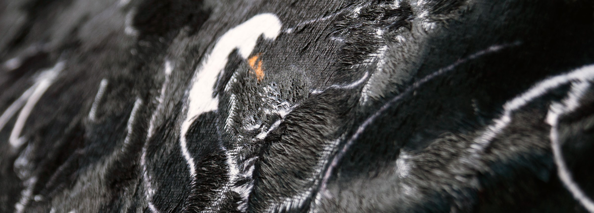  Swan sierkussen Black velours 