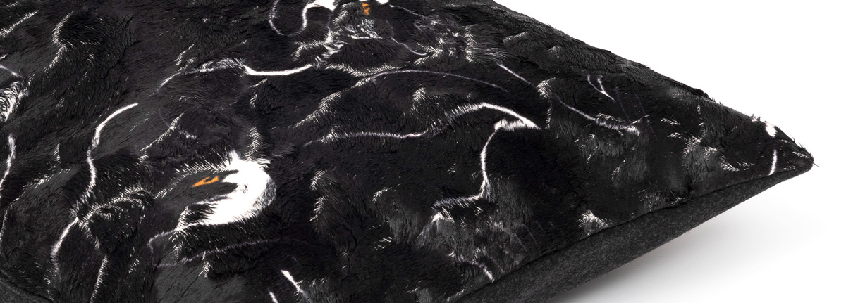  Swan sierkussen Black velours 