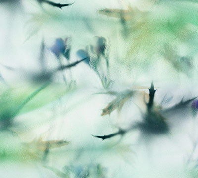 Sierkussen Irving fotoprint