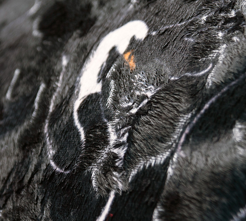 Sierkussen Swan Black geprint velours