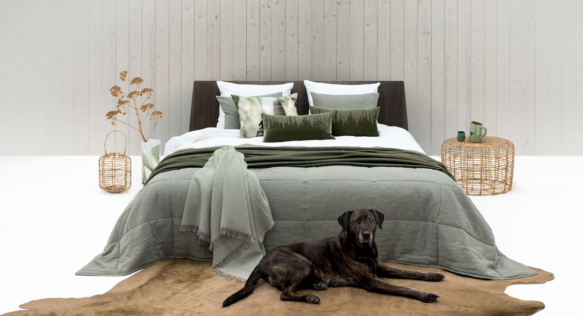 The Glass House - Bedroom Lodge