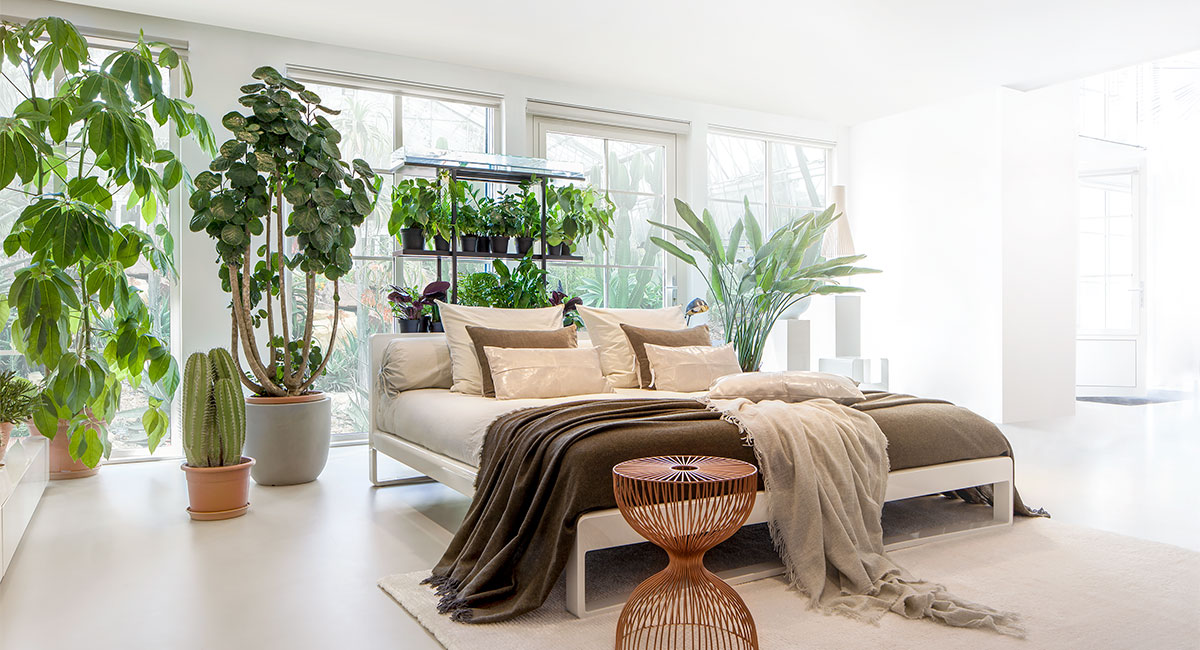 The Glass House - Bedroom Bone Room