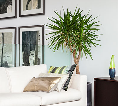 Sierkussen Gradient Tie and Dye en Sierkusssen Pavilion Brass