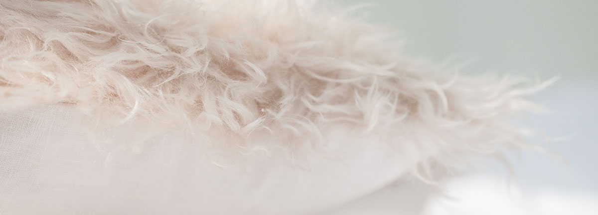 Cushion Caesar Detail