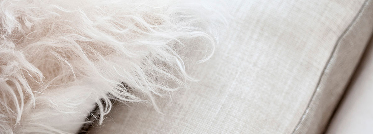 Cushion Spang Detail