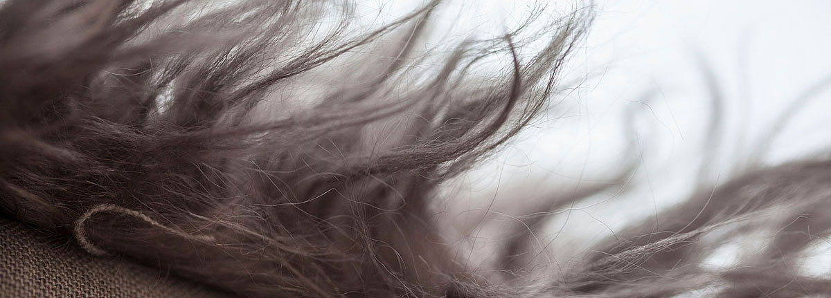 Cushion Caesar Detail