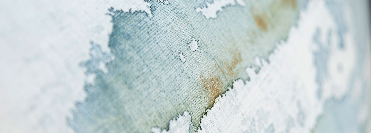 Cushion Ink in the Well close