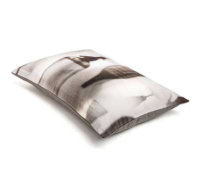 Cushion Ambrose print