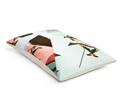 Cushion Brewster Multicolour