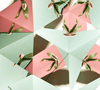 Cushion Brewster print