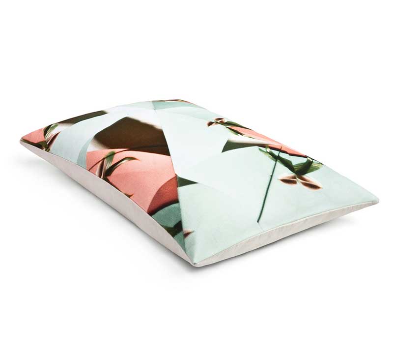 Cushion Brewster Multicolour