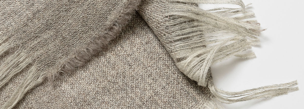 Nick blanket Oyster close 