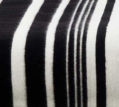 Blake blanket detail